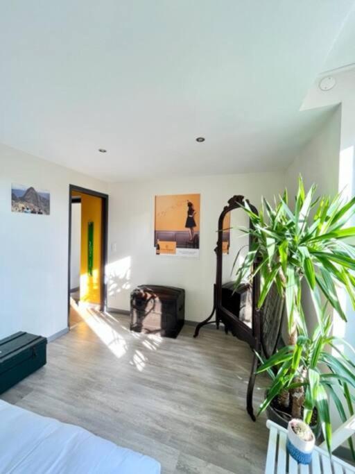 Apartament Le Grenier A Sel - Reims Zewnętrze zdjęcie